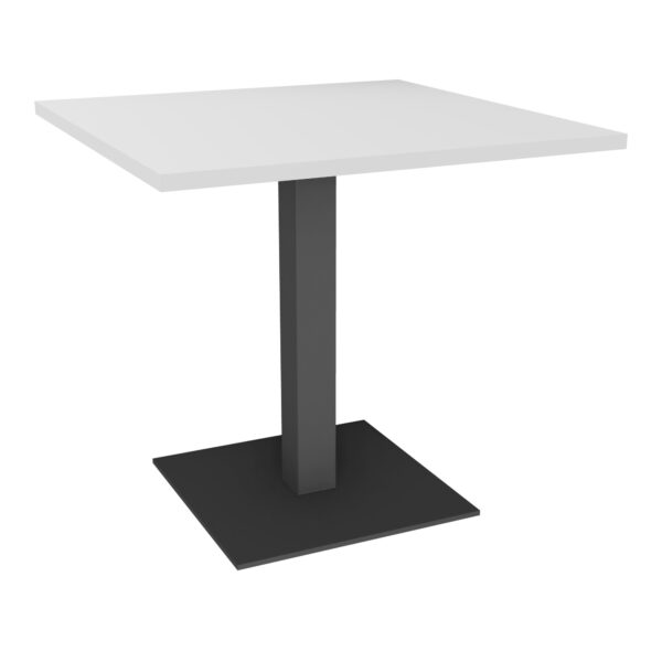 SPIRIT T SNACK CARRE L80 H72 MG SC